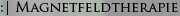 Magnetfeldtherapie